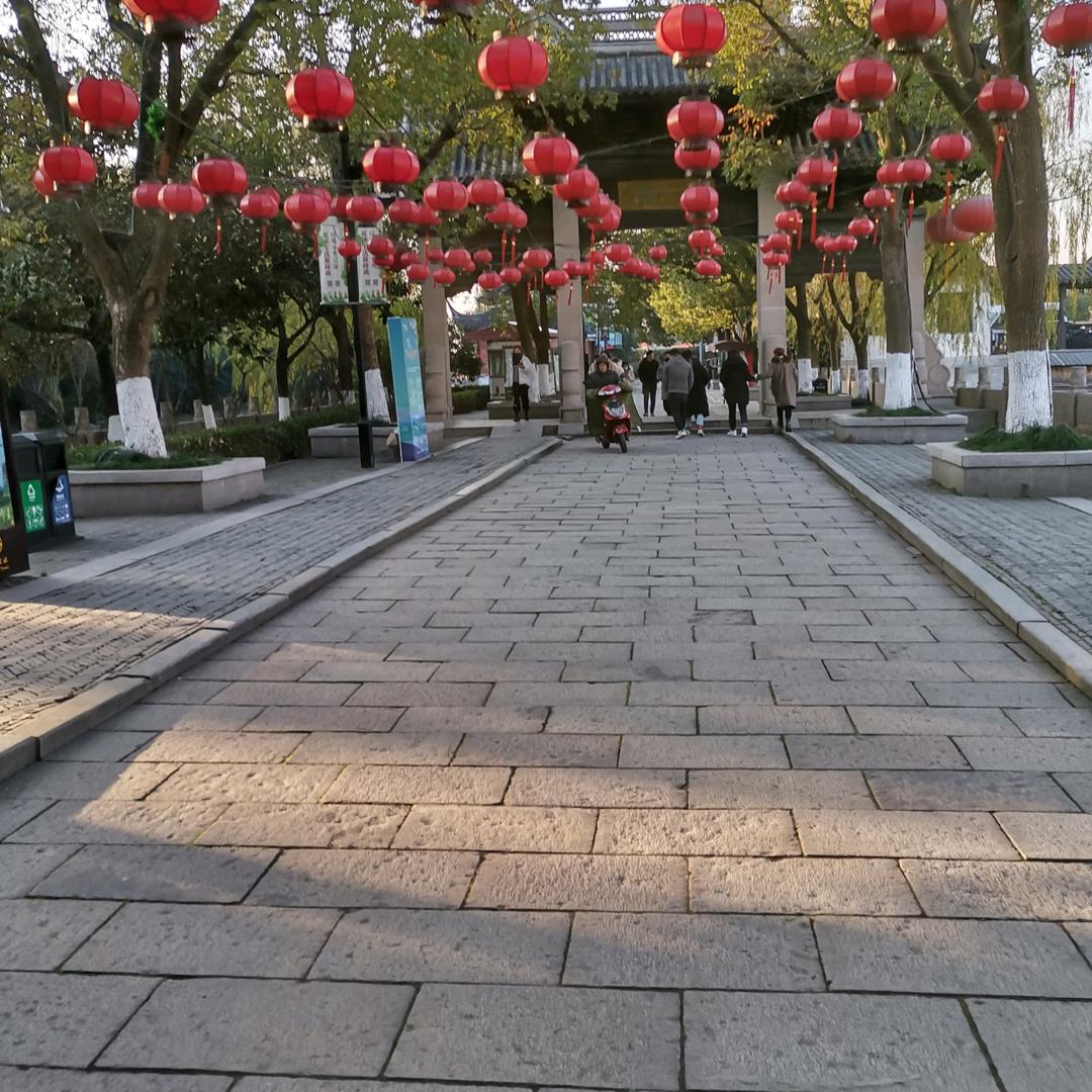 静心