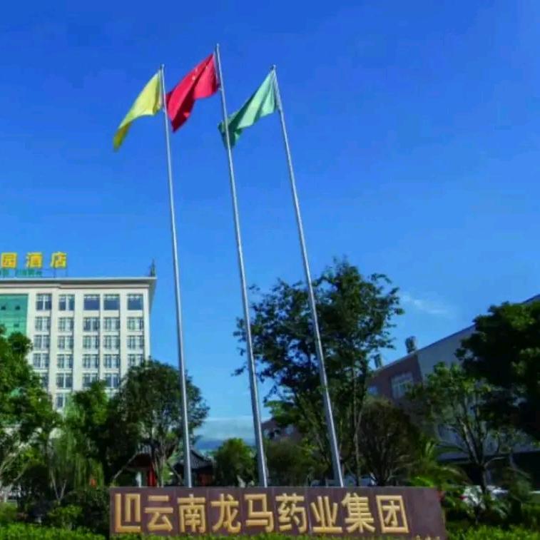 云南龙马药业