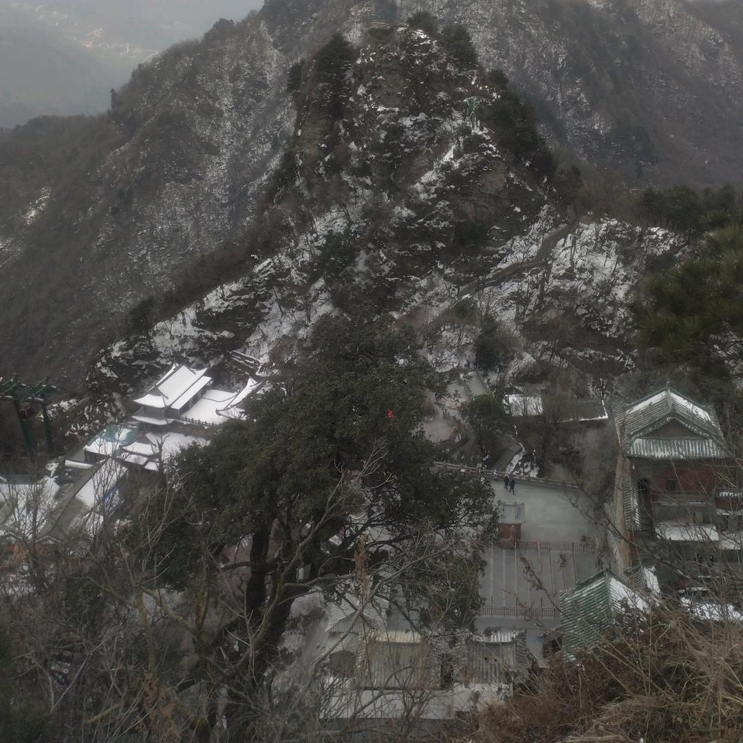 张定富