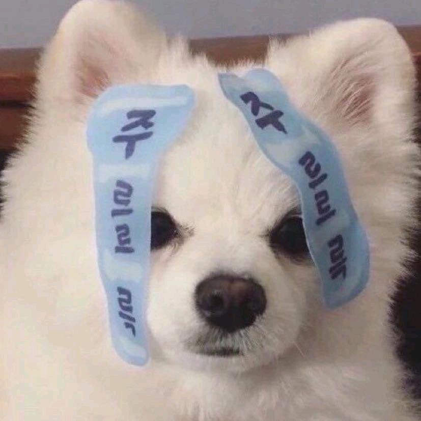 小狗也会不开心