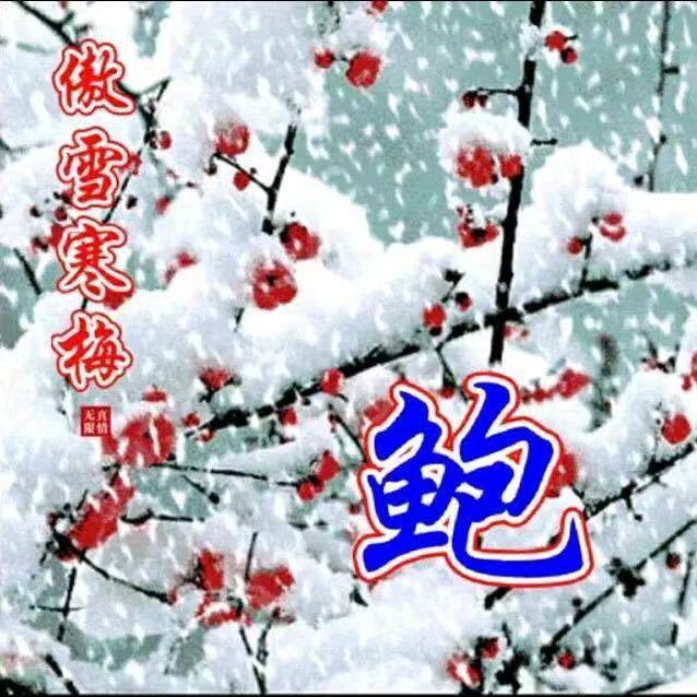 老鲍