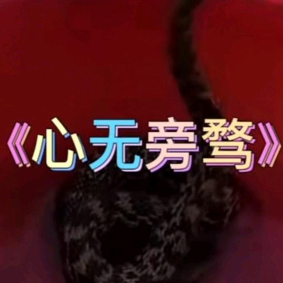 心无旁骛