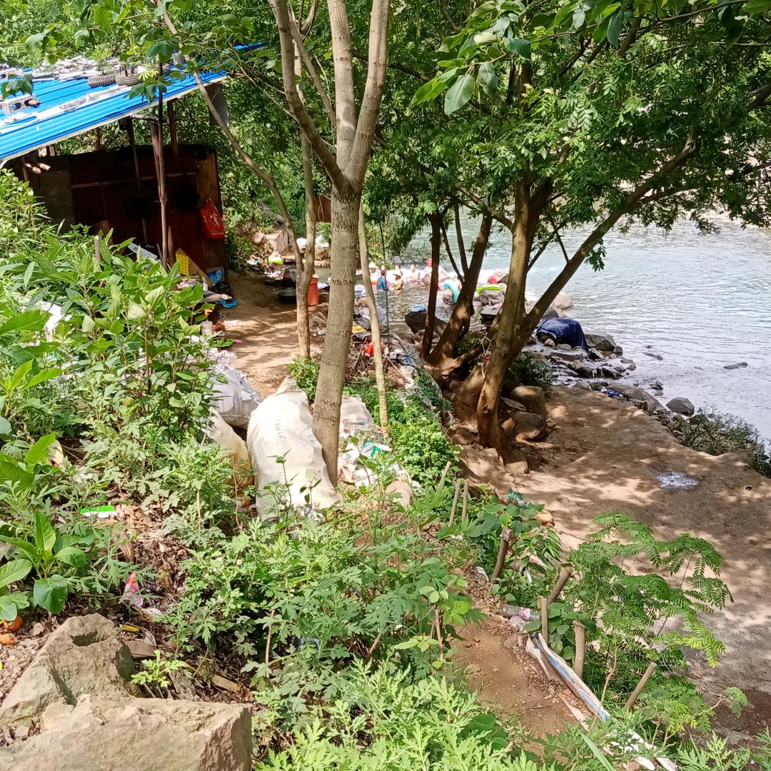 用户9288一帆风顺