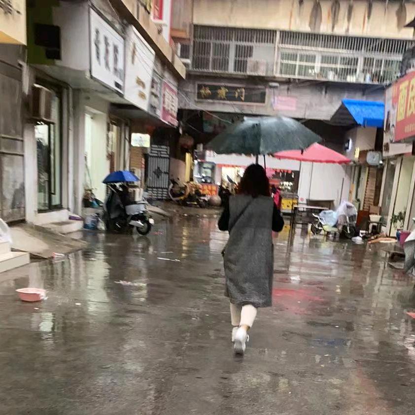 粉色玫瑰花