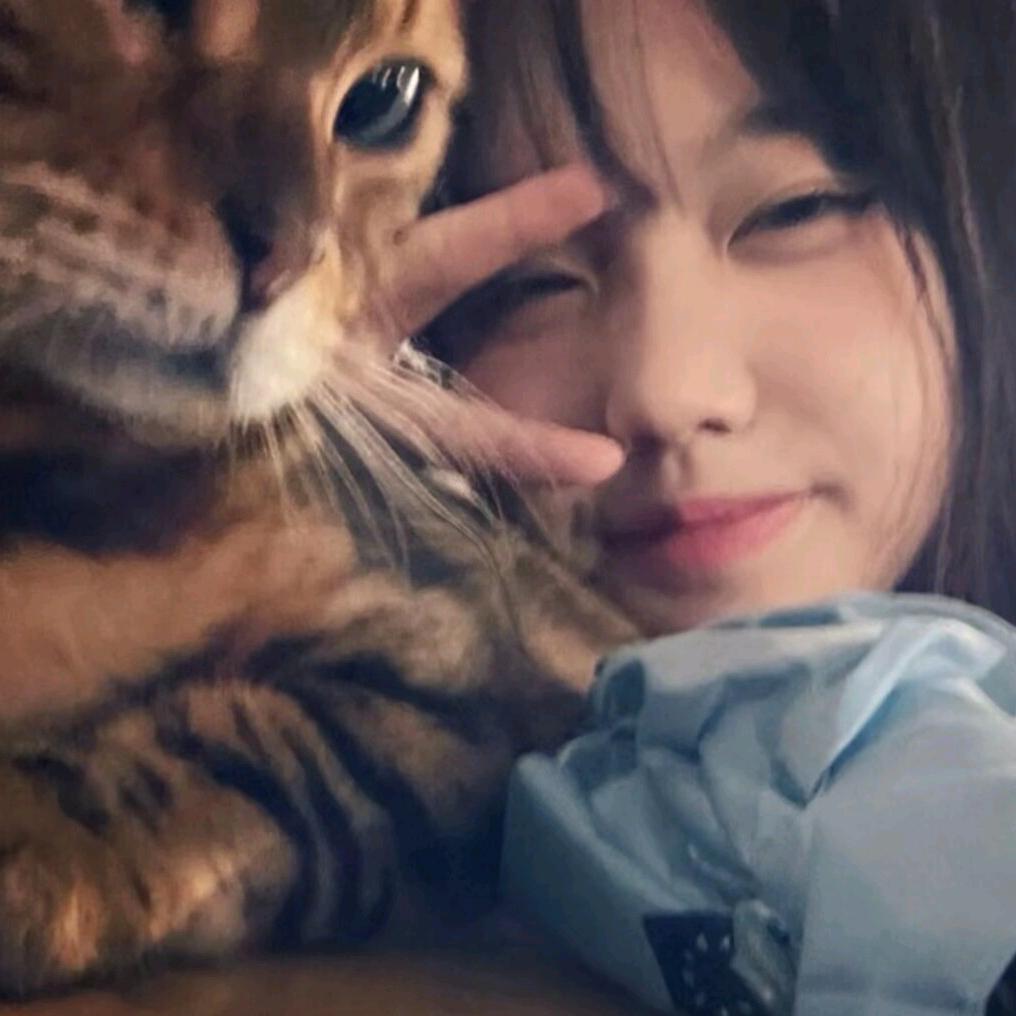 叁柒（可合作）