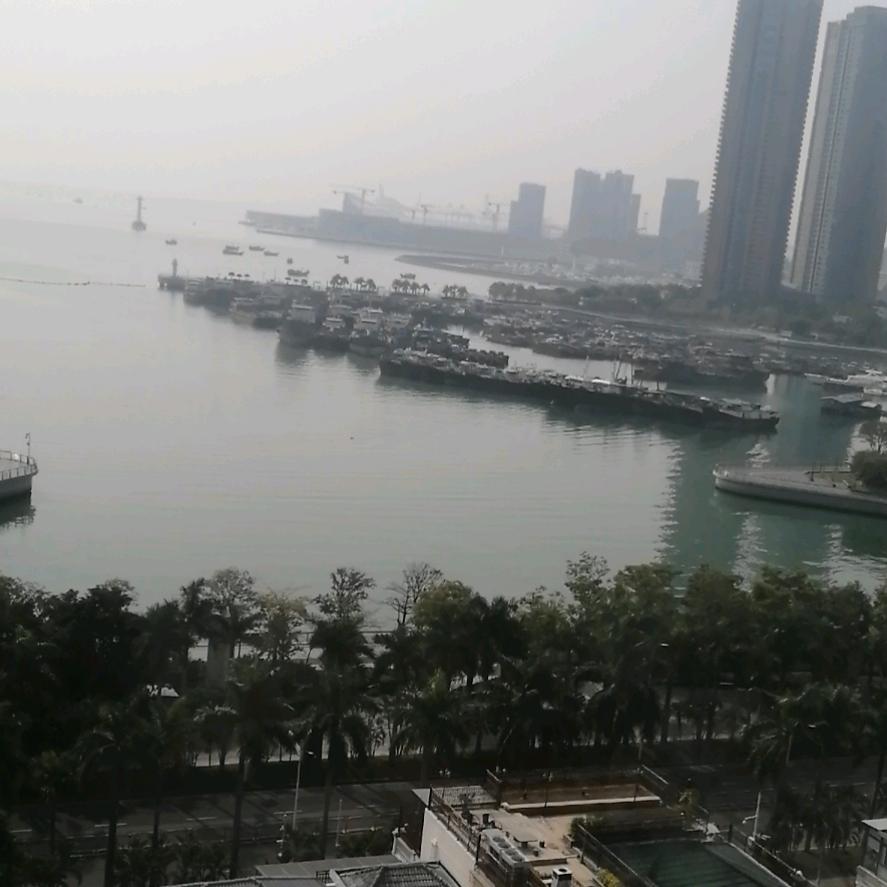 让世界看到你