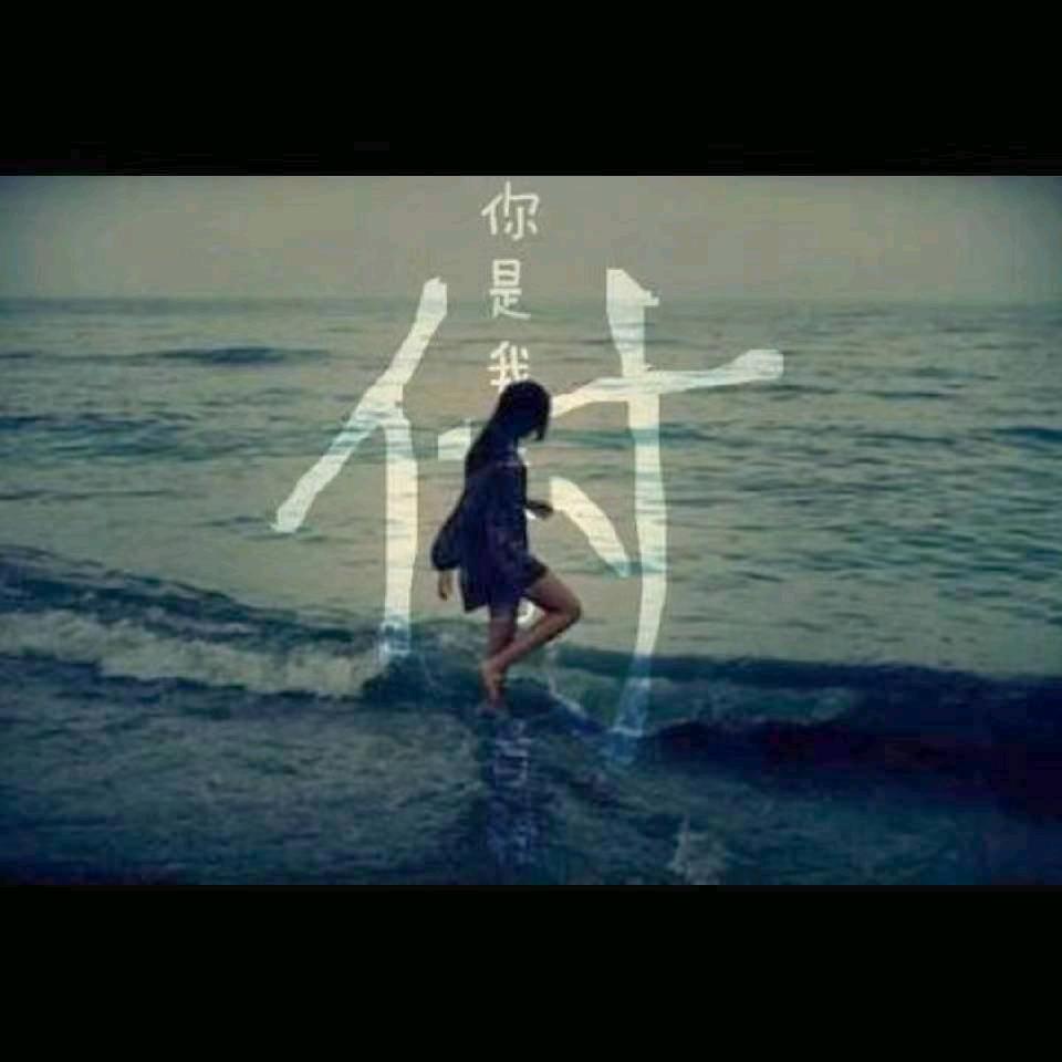 ◑.◑