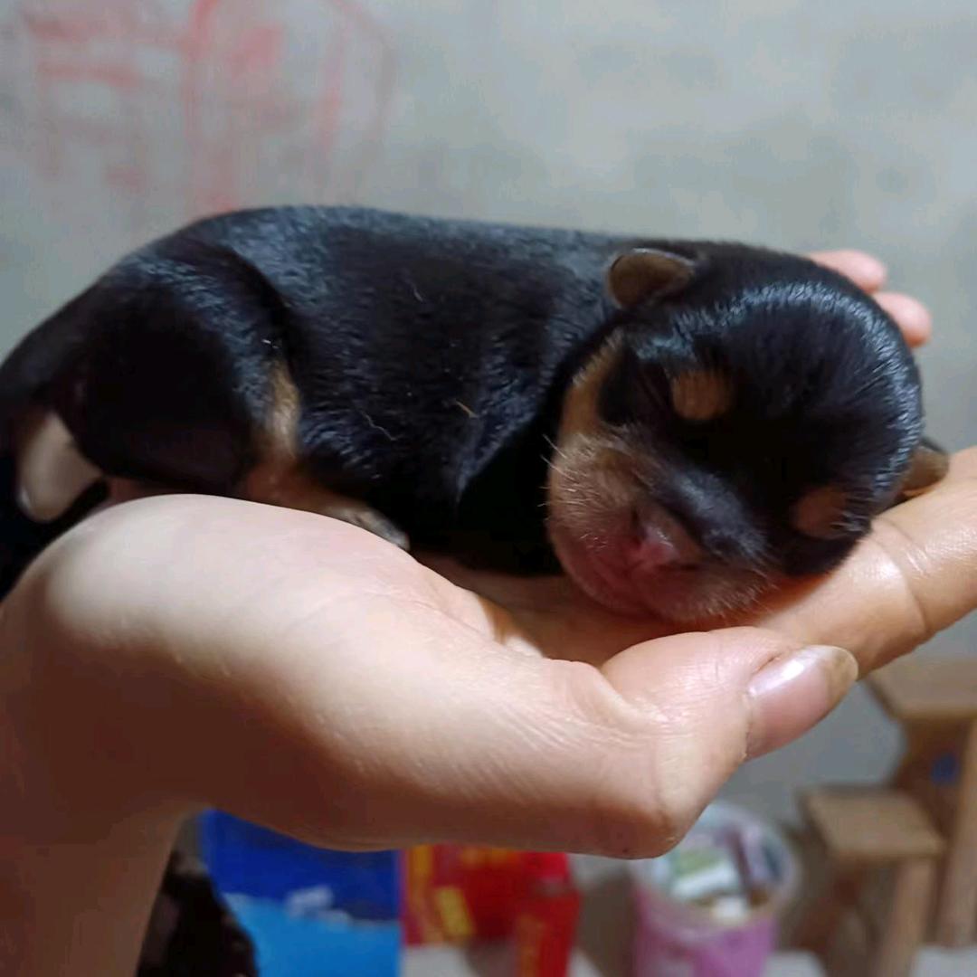 💃无忧💍一生