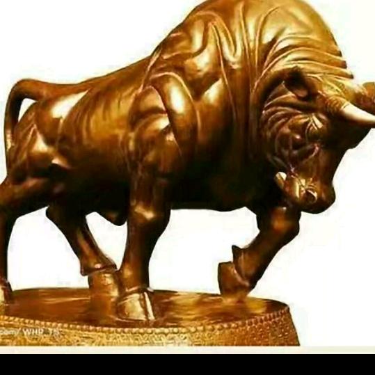 牛哥不牛（博宽）