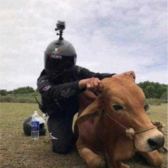 玩恩的小车