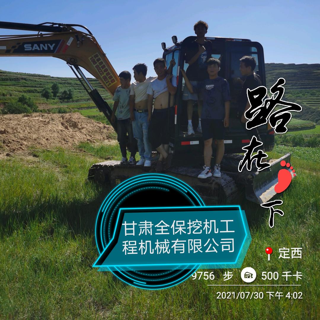临洮宝哥挖机，板车+培训
