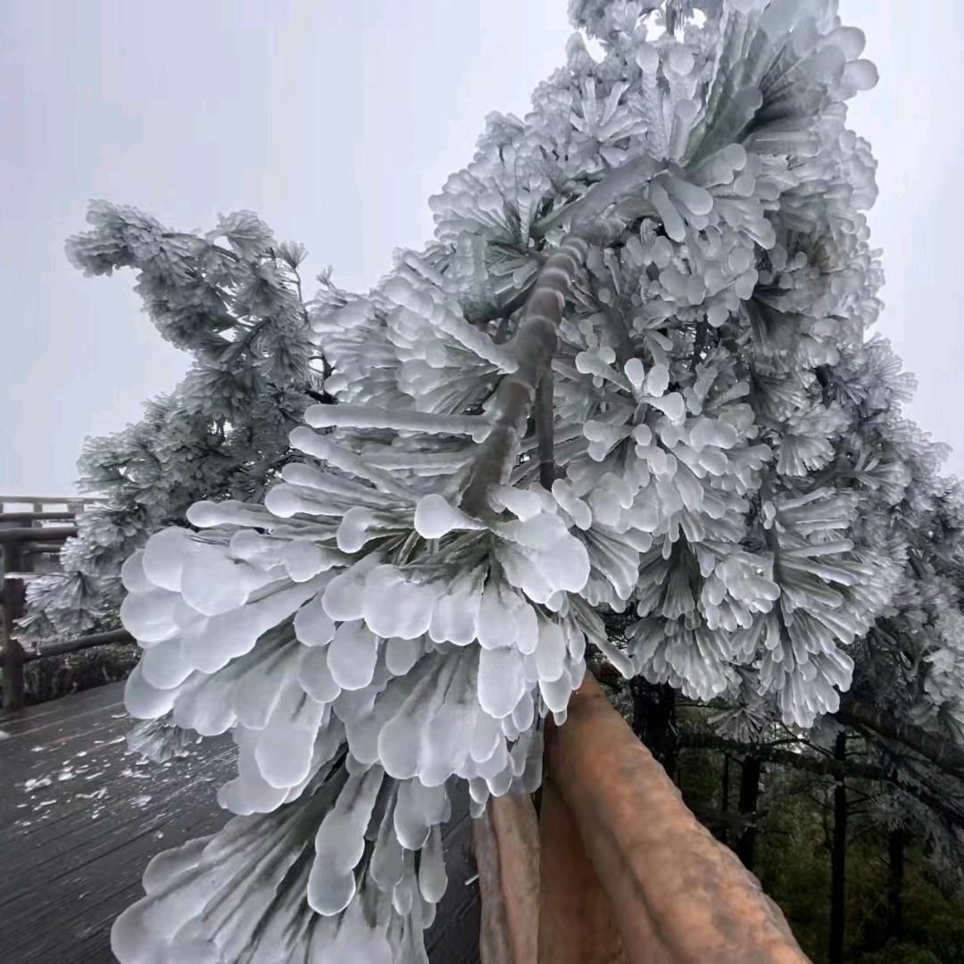 骑毛驴~约富婆