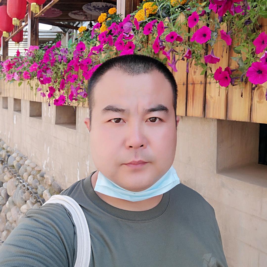 忙碌的蚂蚁鹏哥