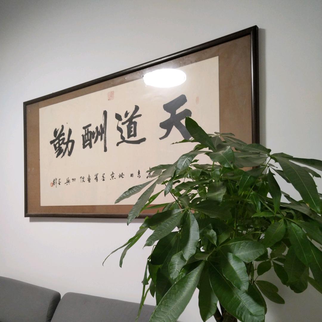 竇（dou）逗