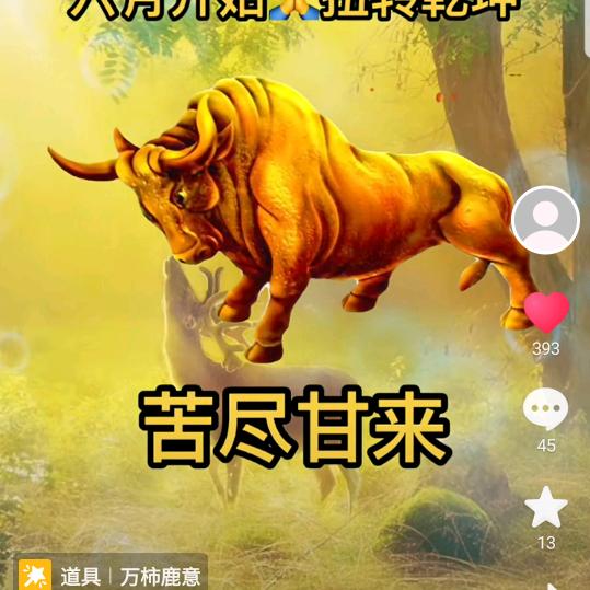 随意而安