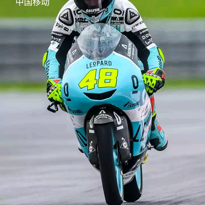 木—易🌙🌙🌙🌙🌙