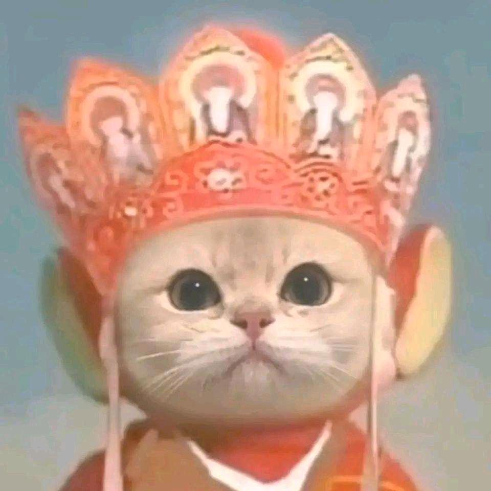 喵喵叫我来巡山