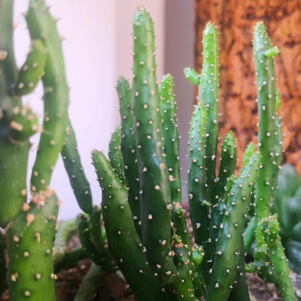🌈小诗