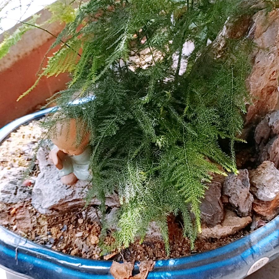 河泽张姐