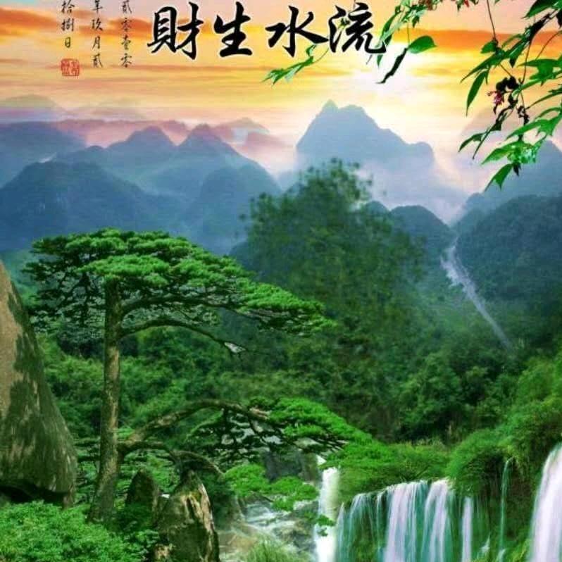 与蜂同行