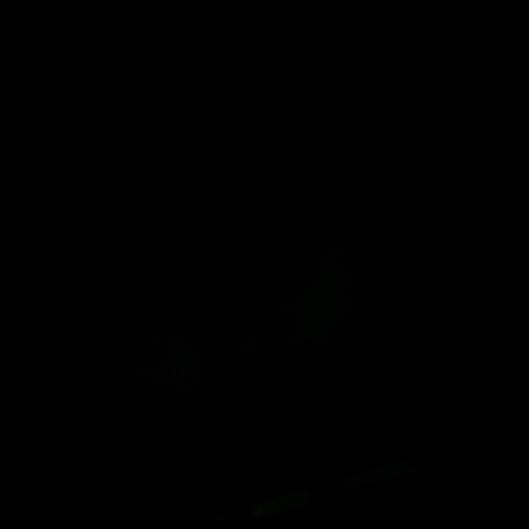 YY爱画画