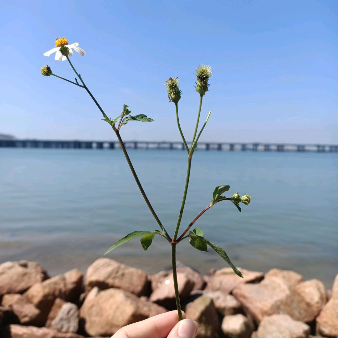 优雅是一种姿态