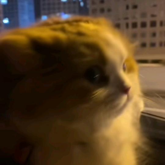 重要