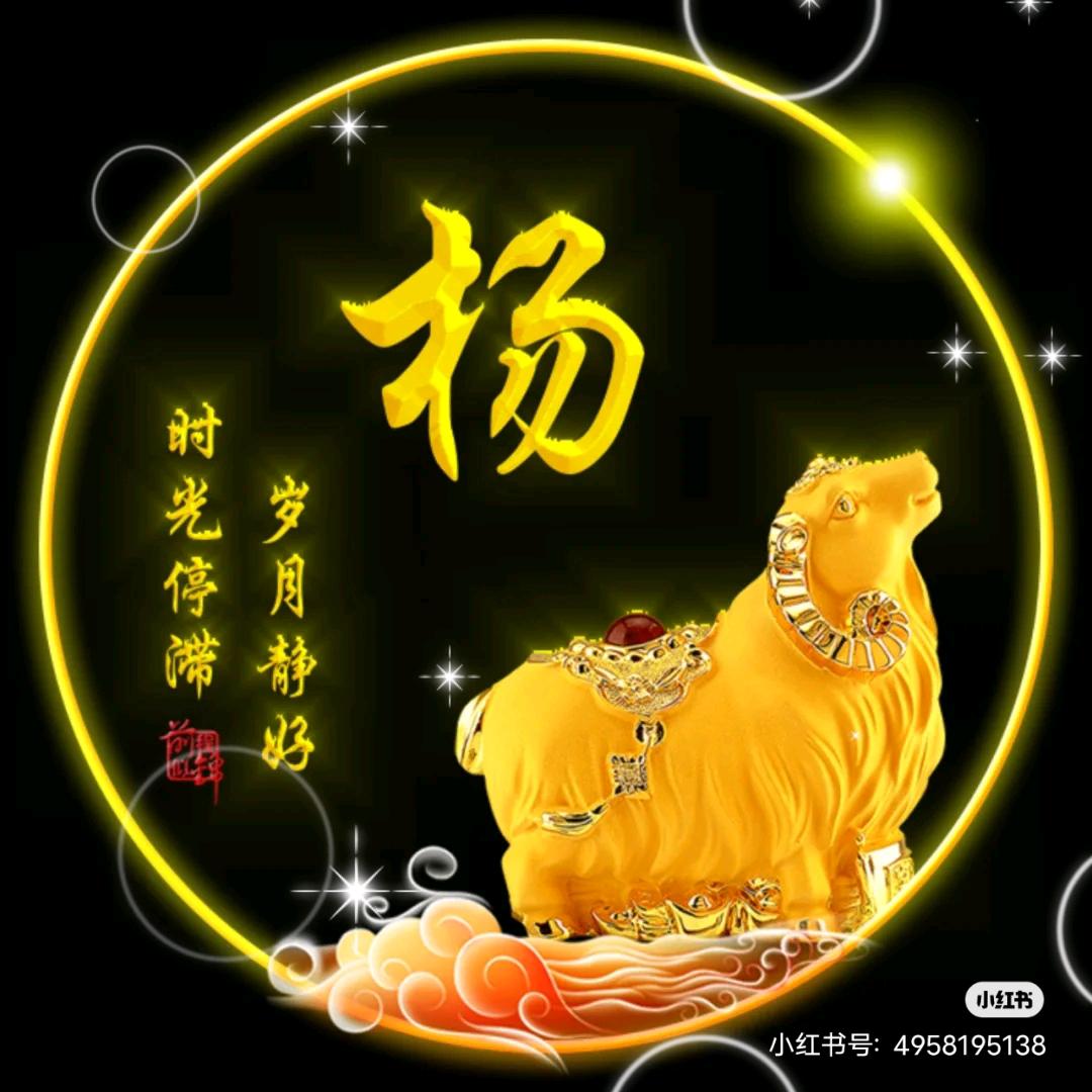 华*哥*哥