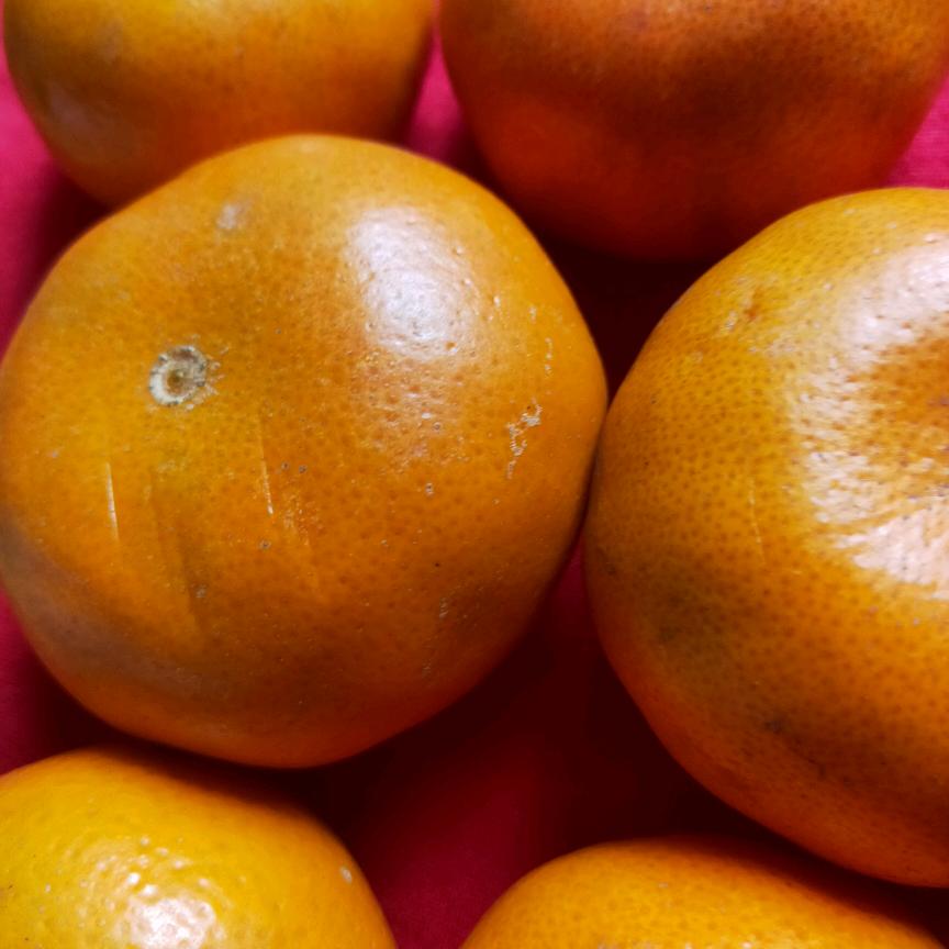 光辉岁月，年年有余