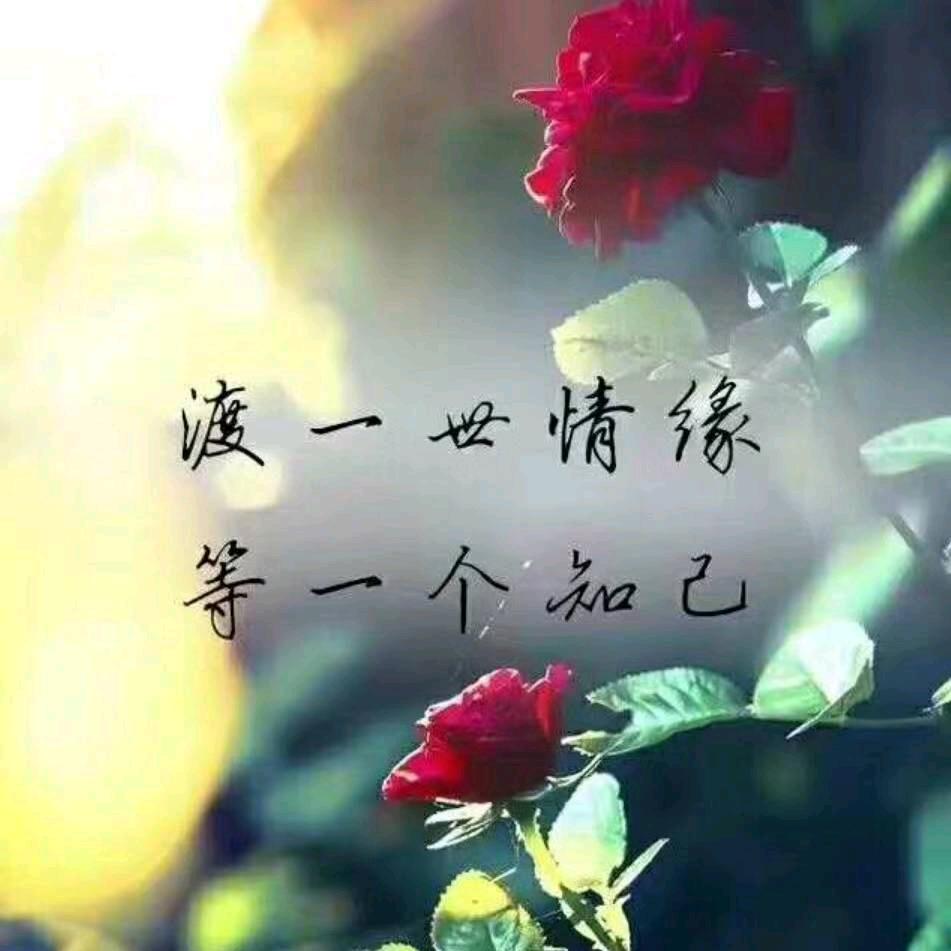 飘逸