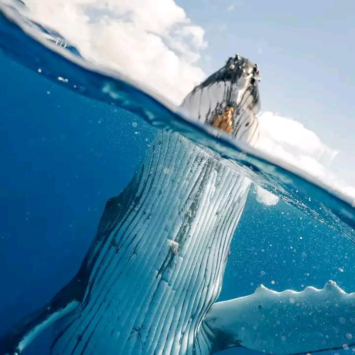 ✺◟(∗❛ัᴗ❛ั∗)◞✺