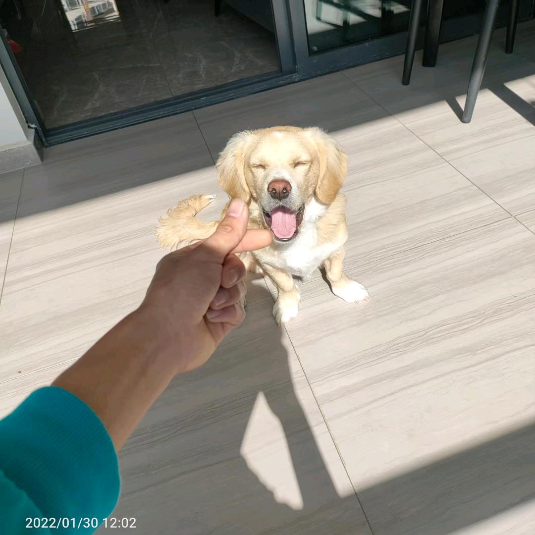 不负人间惊鸿宴✨