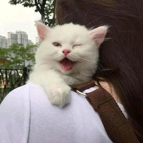 🇨🇳鄂K–自我人生🇨🇳