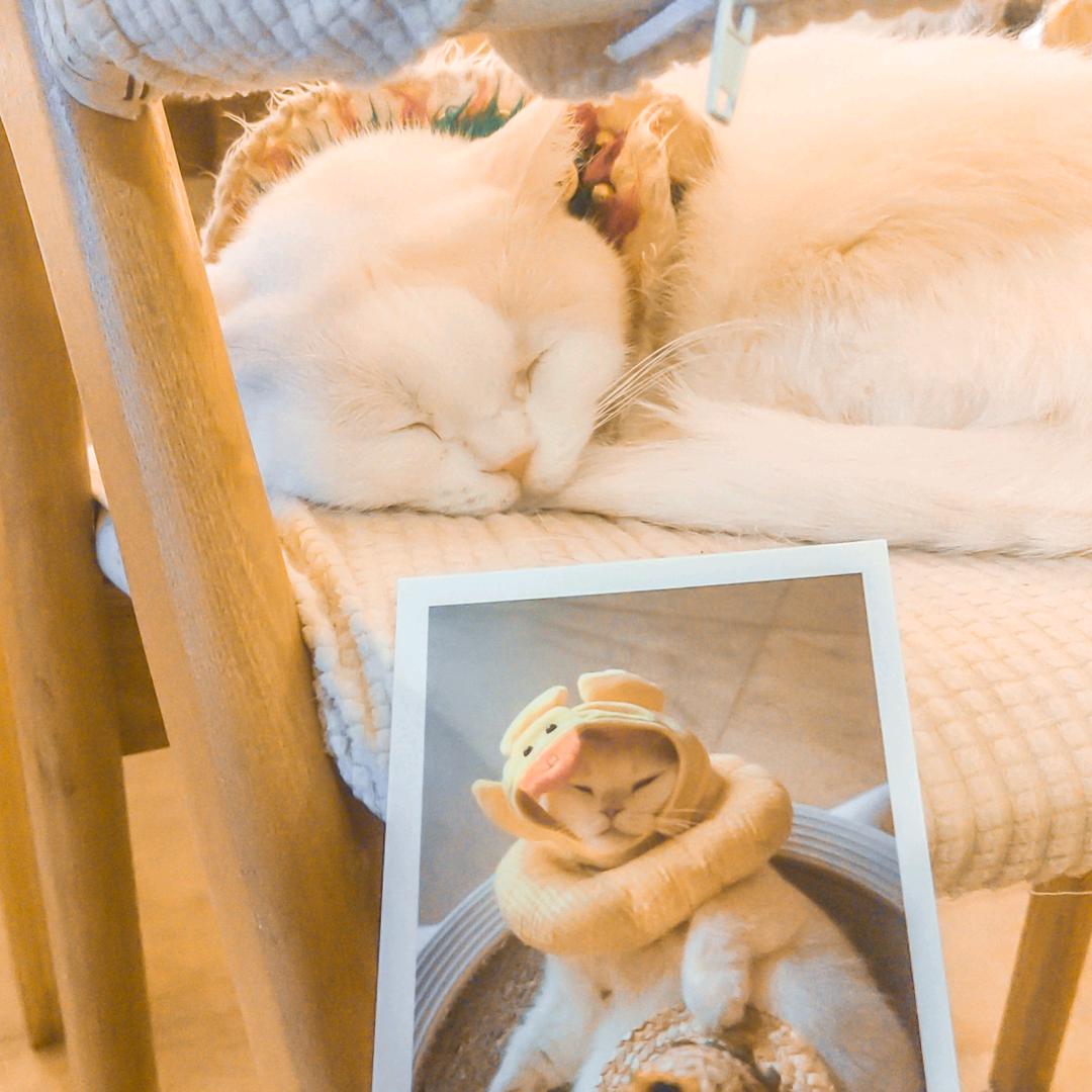 晓先生啊