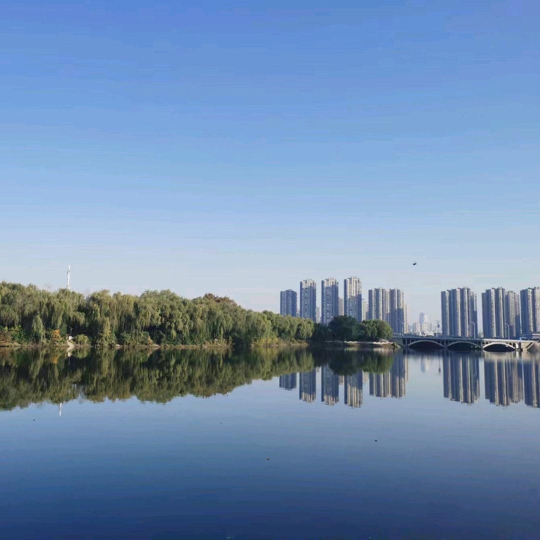 球飞过