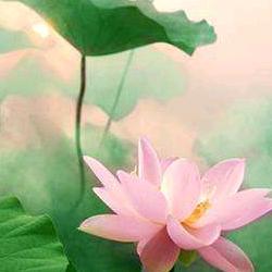 用户569508762535。。。