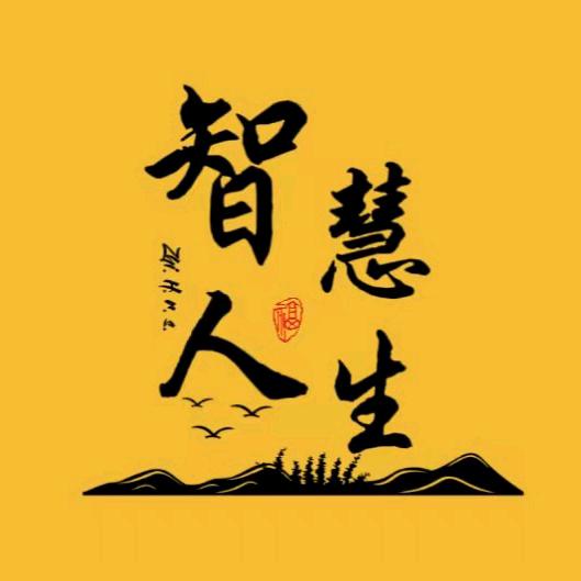 智慧人生(主页有同款书)