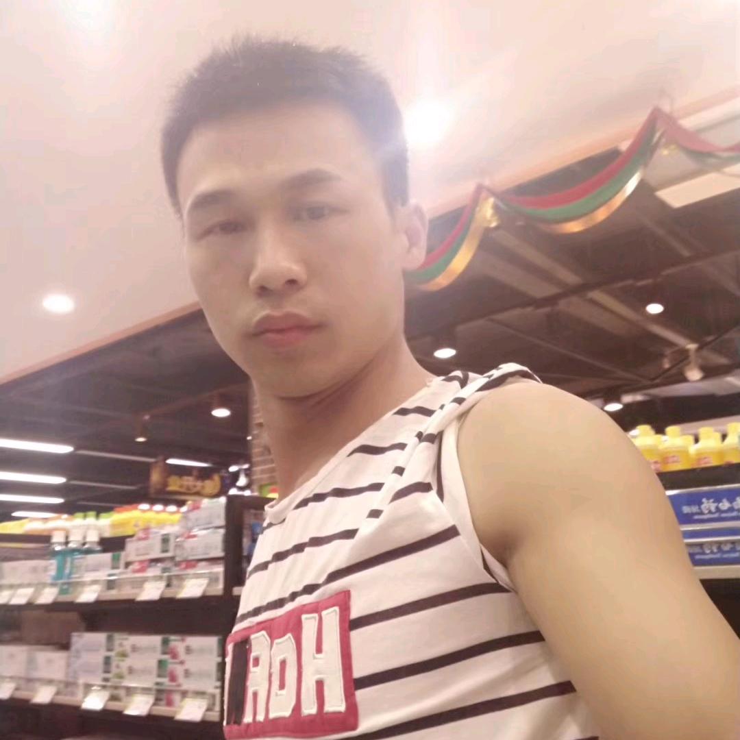 子龙歌