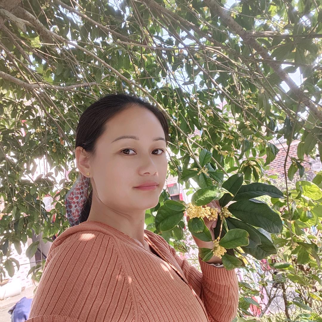 娟子姐姐   ( 六福团)