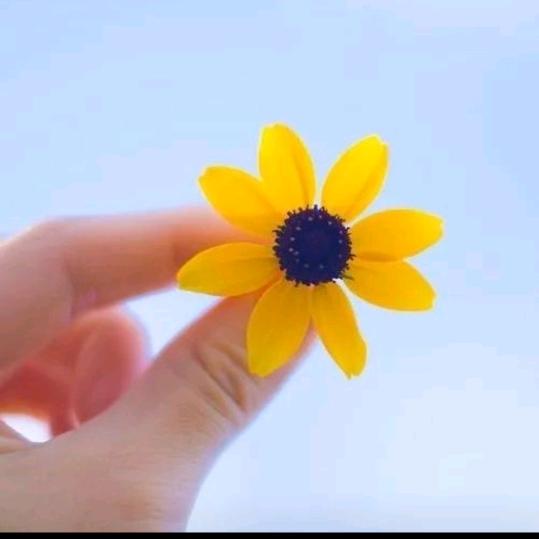 唯述原创设计师品牌   西平店