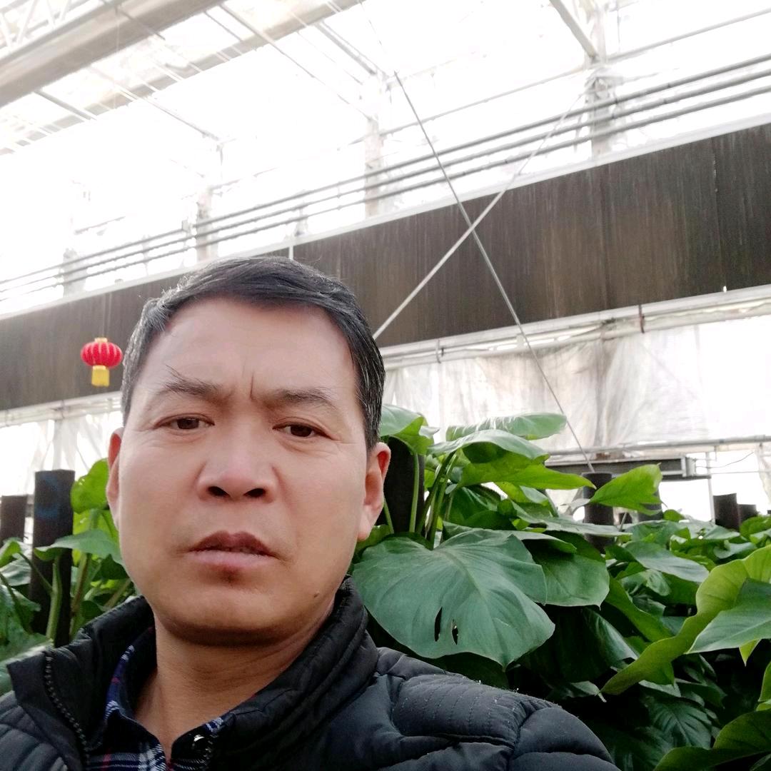 豫东正宗吊炉烧饼