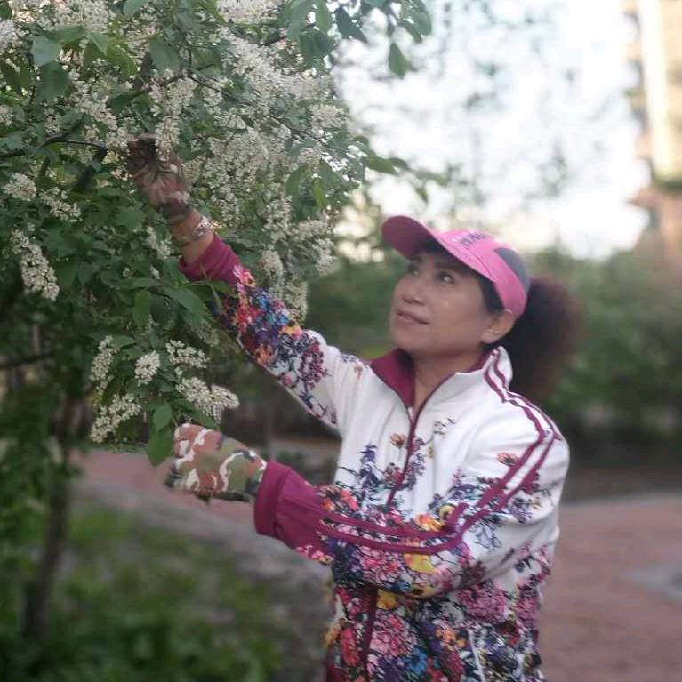 女神晓红哈尔滨