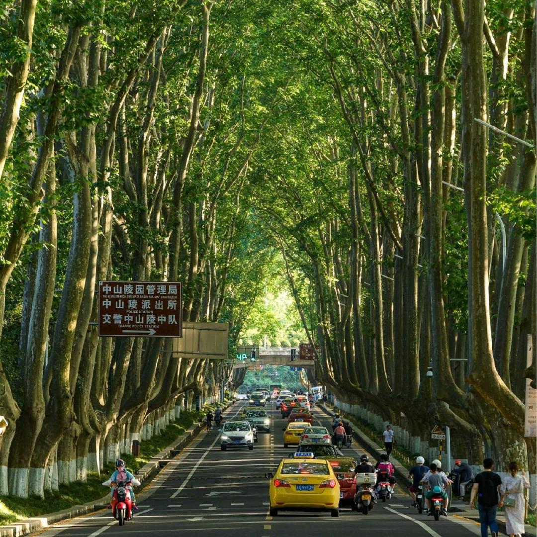 泗海水产青鱼专供