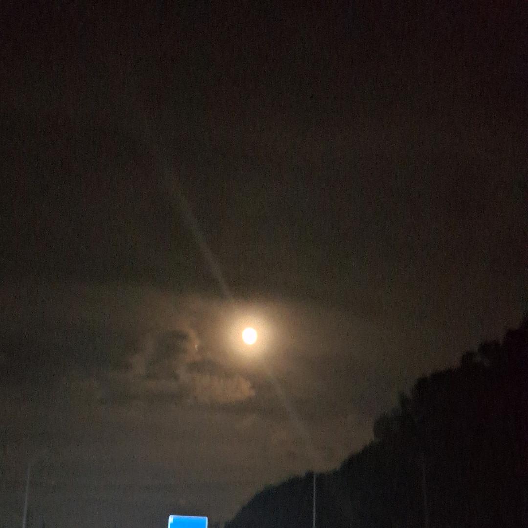 泗县草沟大胡庄潇洒哥