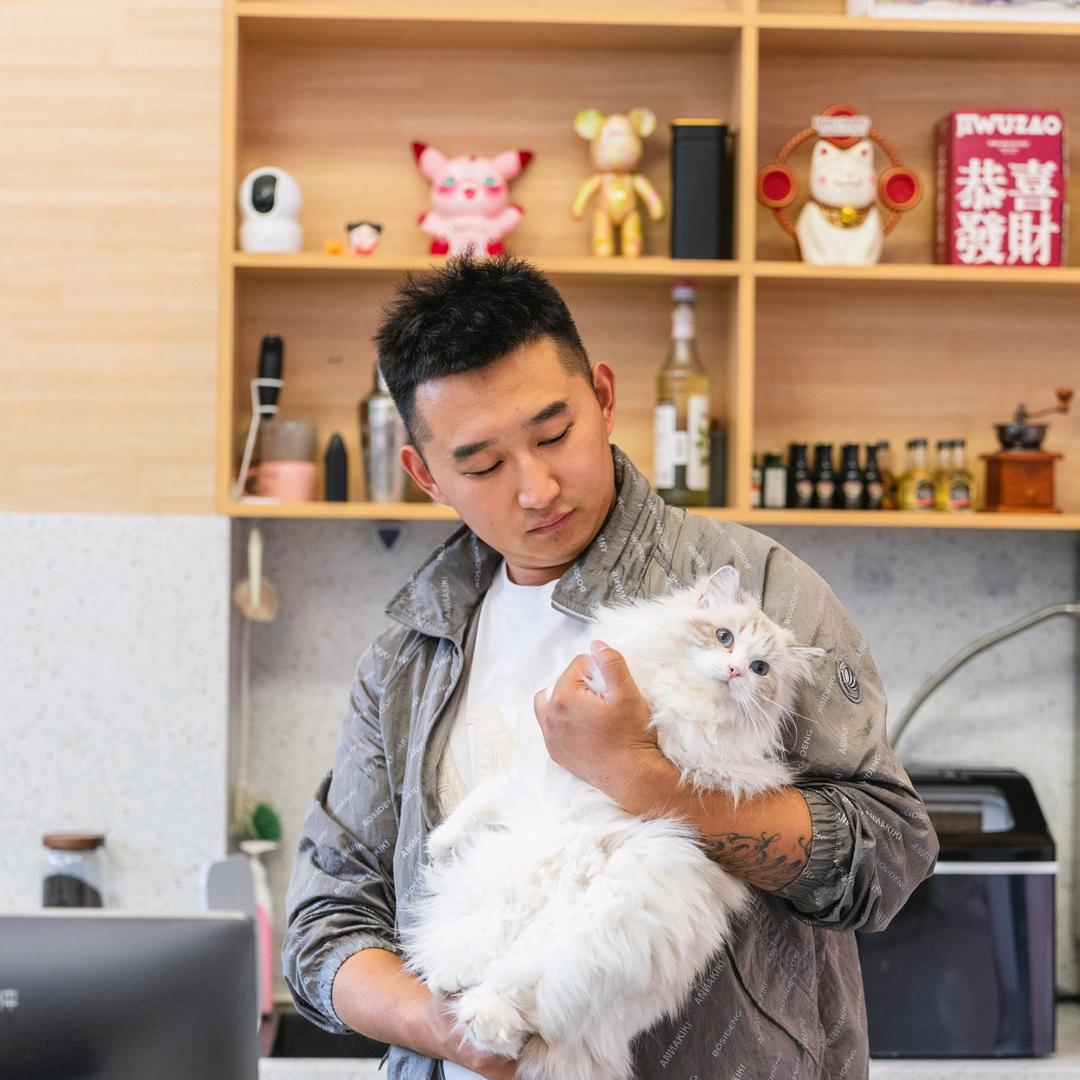 阿硕养猫