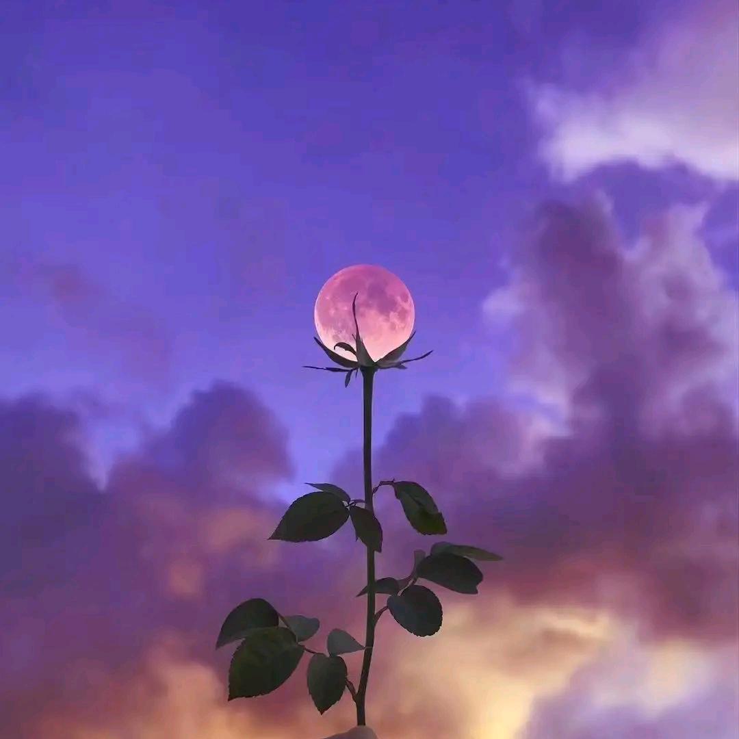 我是我，你是你.