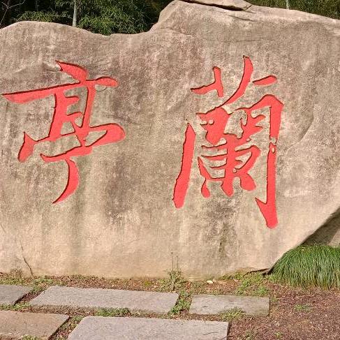 静静的绽放