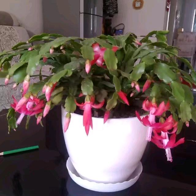 ღ᭄💞时光ོএ静好ღ᭄ 💞