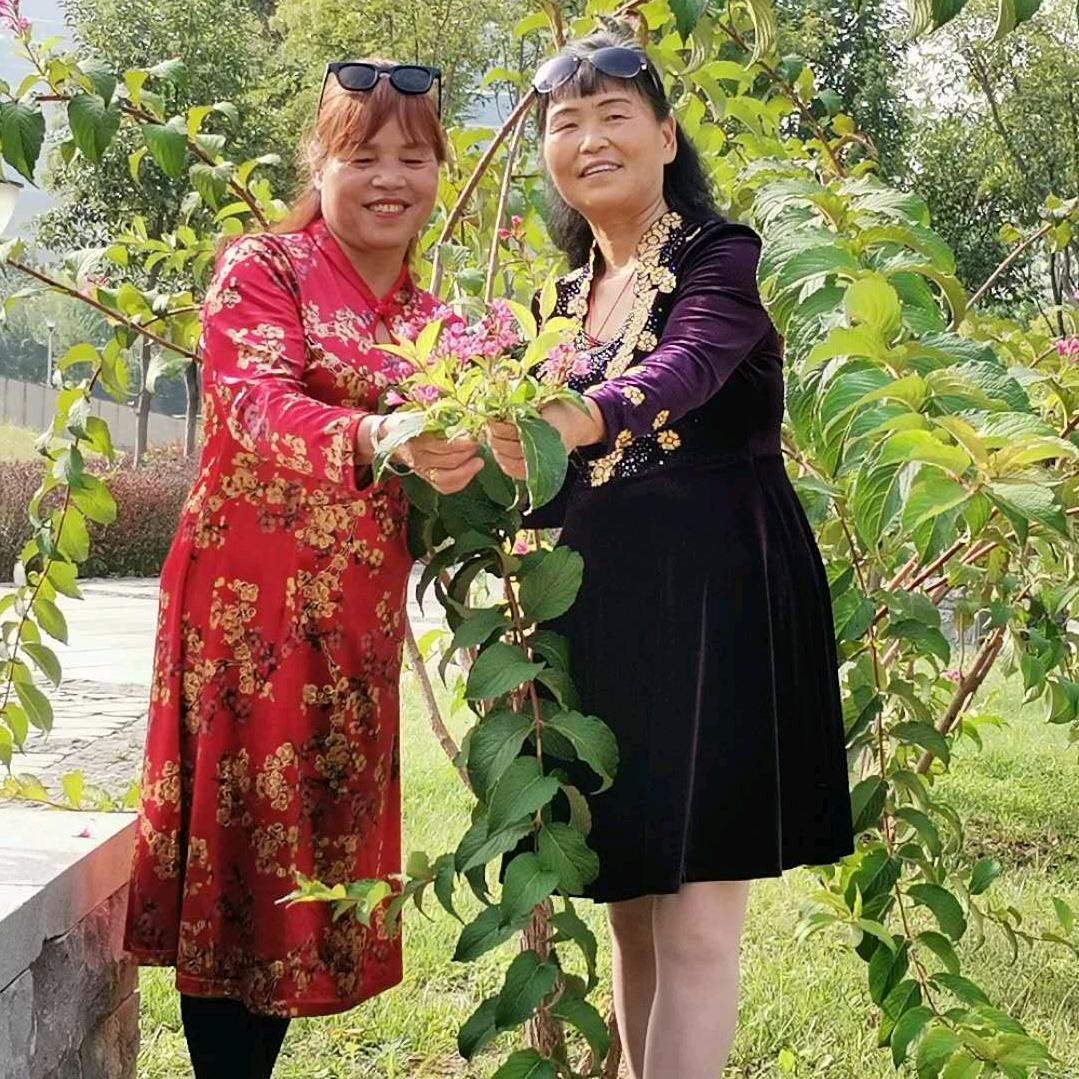 珍惜一生