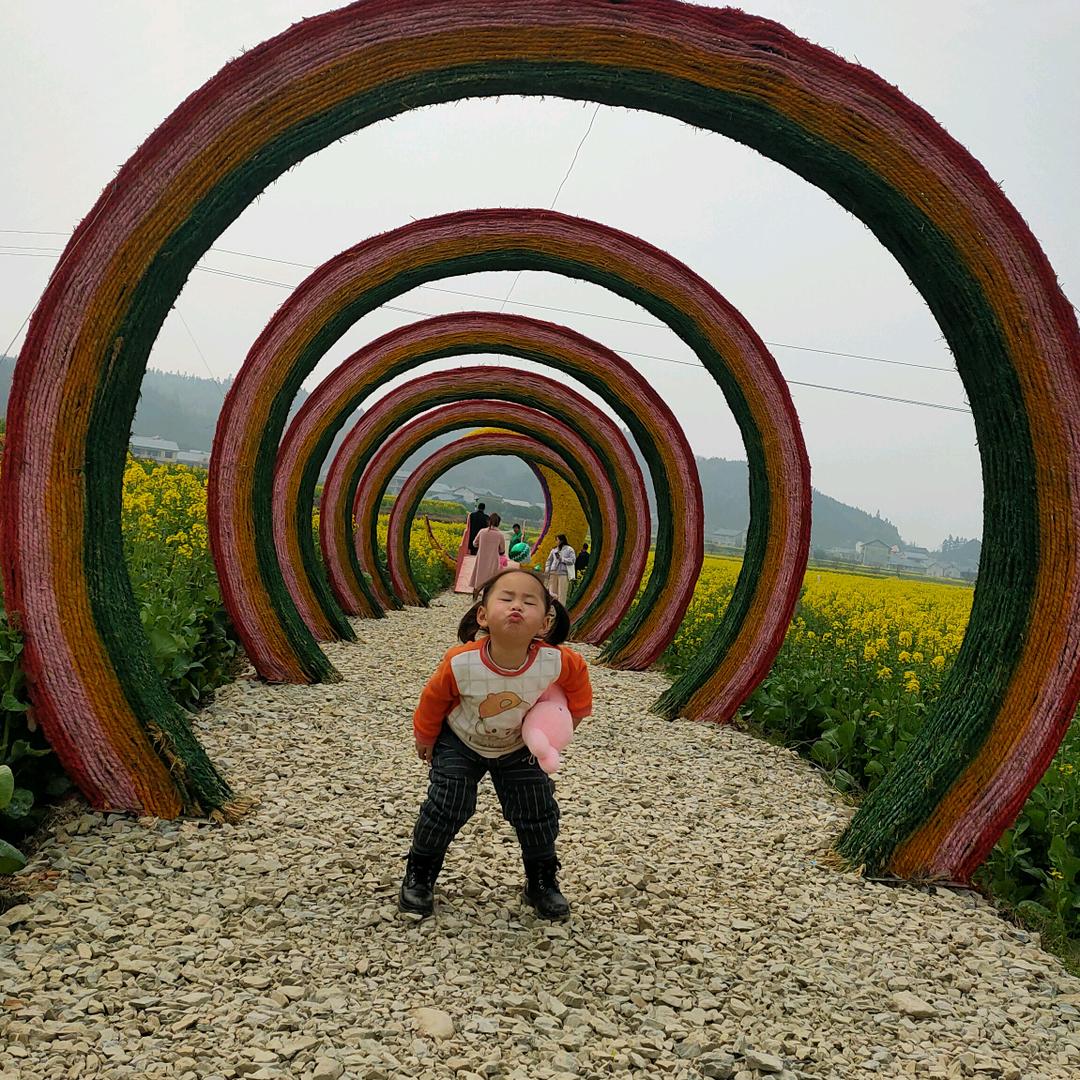 好菇凉